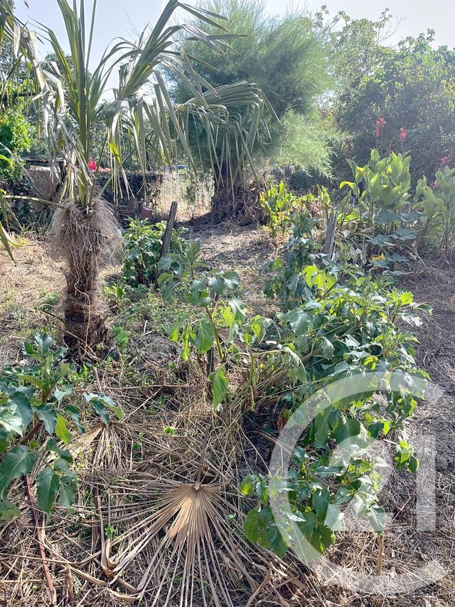 Maison à louer - 3 pièces - 92,02 m2 - Cezan - 32 - MIDI-PYRENEES