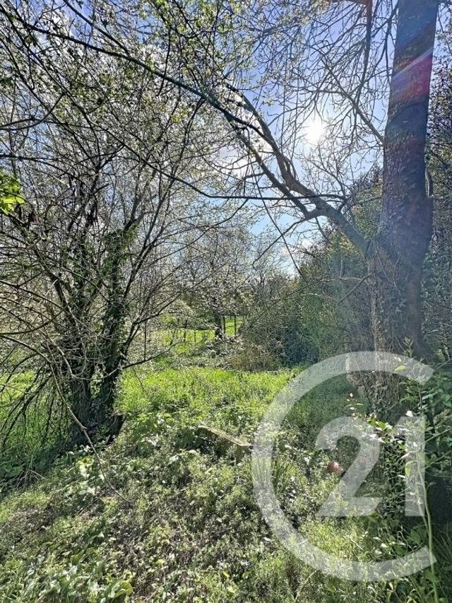 Maison &agrave; vendre - 10 pi&egrave;ces - 245,01 m2 - Monfort - 32 - MIDI-PYRENEES