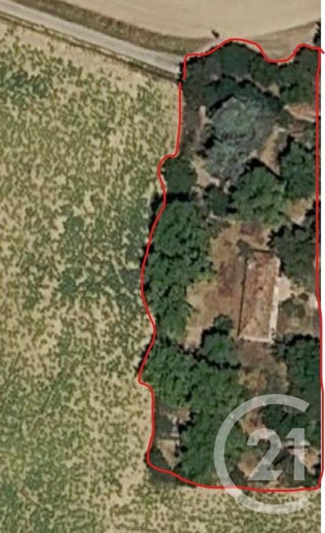 Maison &agrave; louer - 3 pi&egrave;ces - 73,82 m2 - 32 - MIDI-PYRENEES