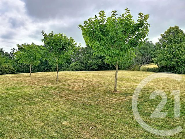 Maison &agrave; louer - 3 pi&egrave;ces - 77,56 m2 - Marsac - 82 - MIDI-PYRENEES