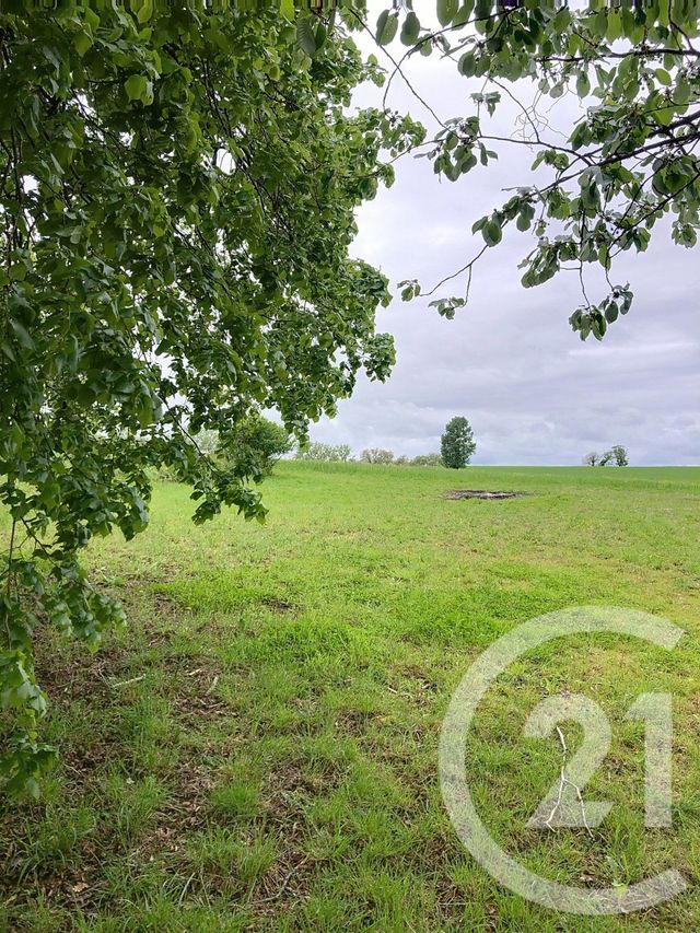 Maison &agrave; louer - 4 pi&egrave;ces - 153,05 m2 - Castelnau D Arbieu - 32 - MIDI-PYRENEES
