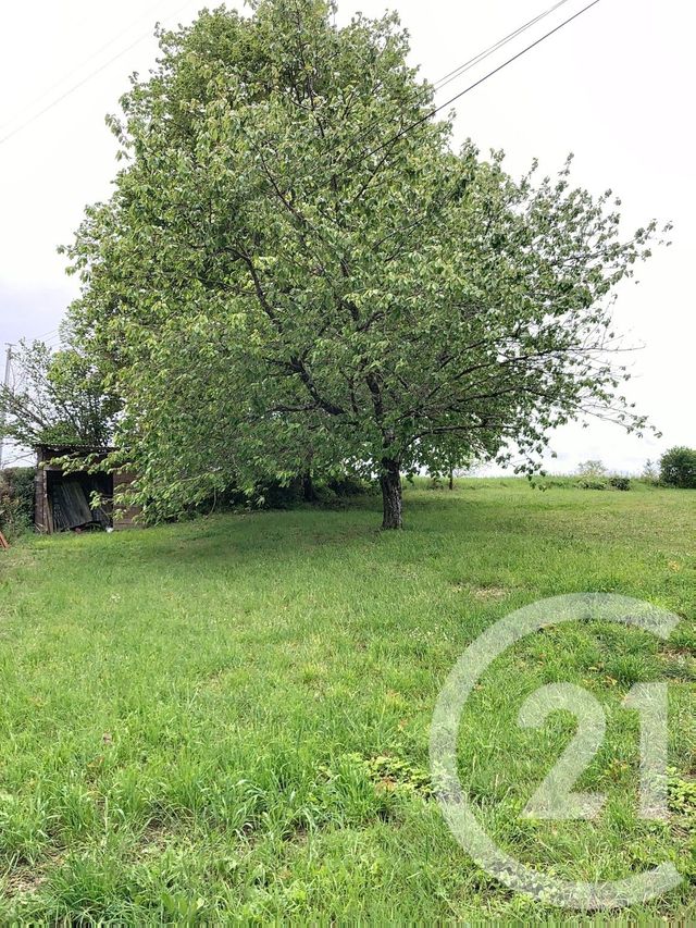 Maison &agrave; louer - 4 pi&egrave;ces - 153,05 m2 - Castelnau D Arbieu - 32 - MIDI-PYRENEES
