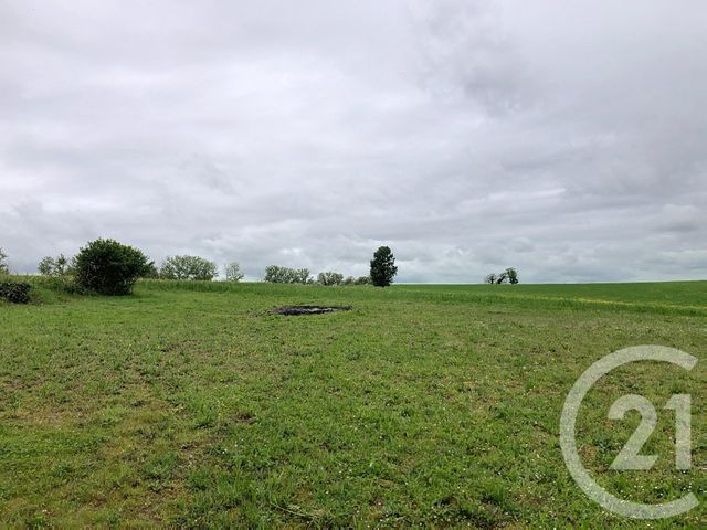 Maison &agrave; louer - 4 pi&egrave;ces - 153,05 m2 - Castelnau D Arbieu - 32 - MIDI-PYRENEES